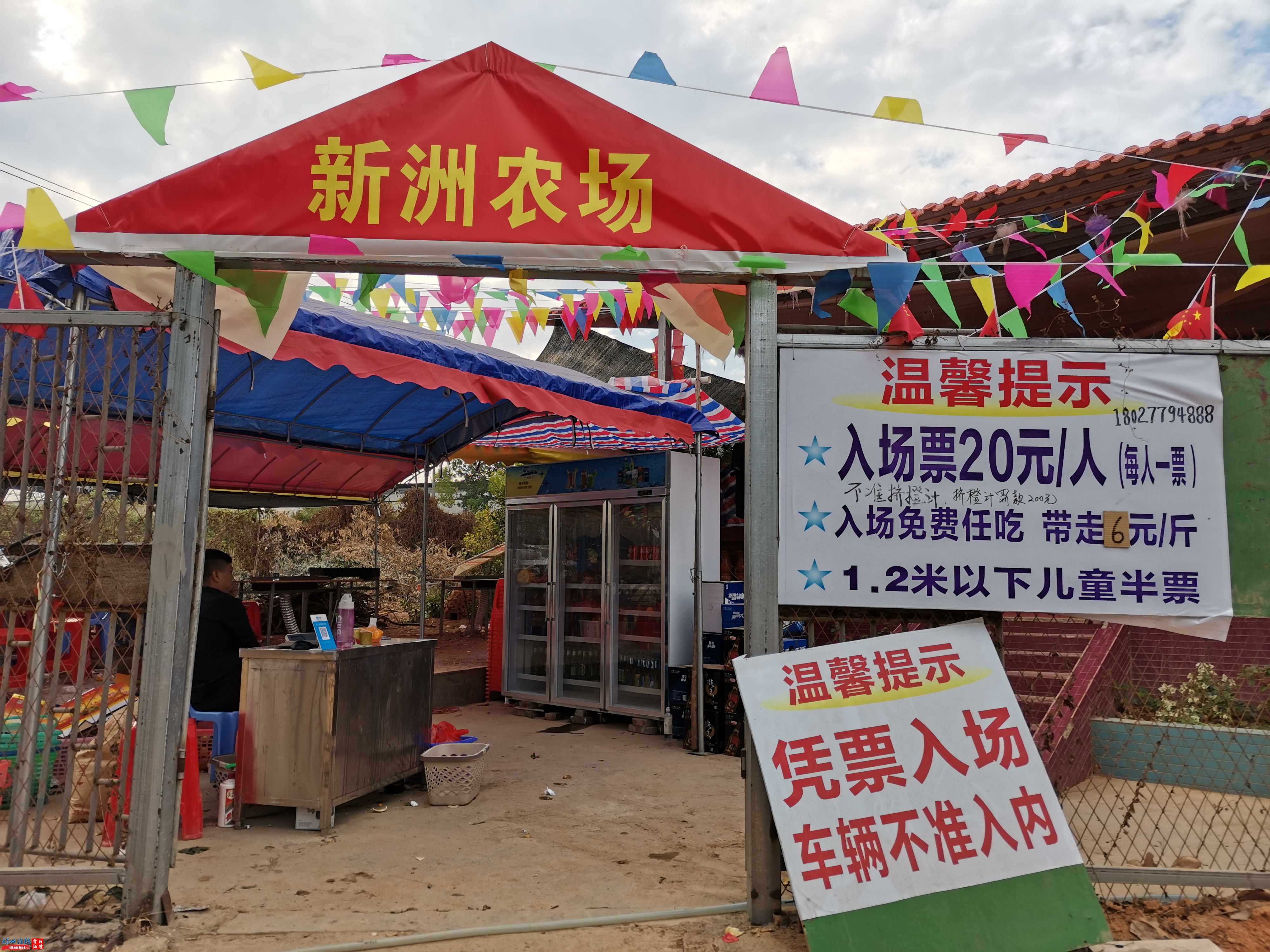 沙院镇新洲果园店面照_看图王.jpg