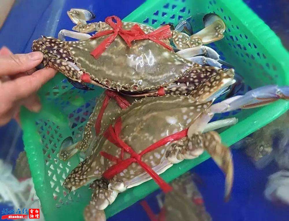 花蟹.jpg