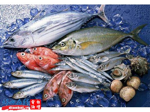 杂鱼3.jpg
