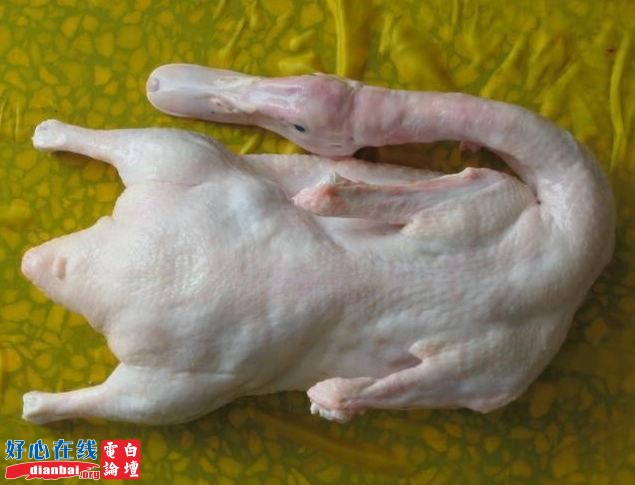 宰净白鸭.jpg