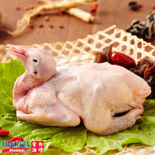 生态鸽肉.jpg